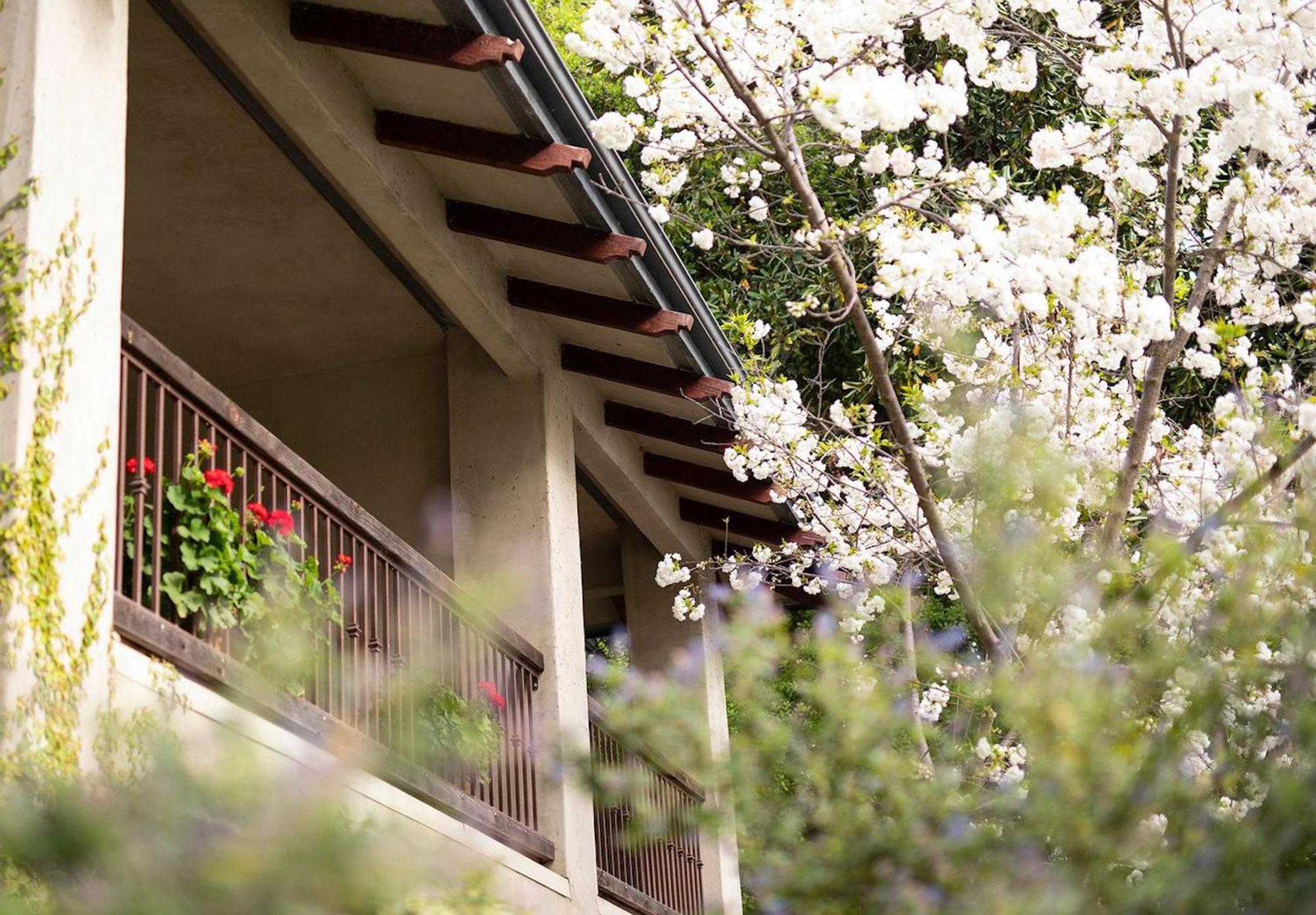 Wine & Roses Hotel Restaurant Spa Lodi Exterior foto